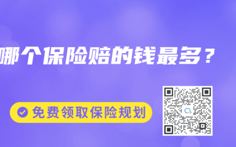 哪個保險賠的錢最多？