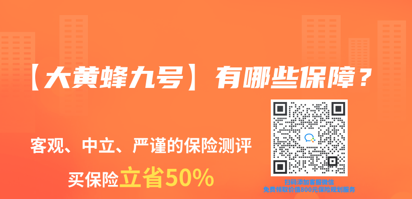 【大黃蜂九號】有哪些保障？插圖